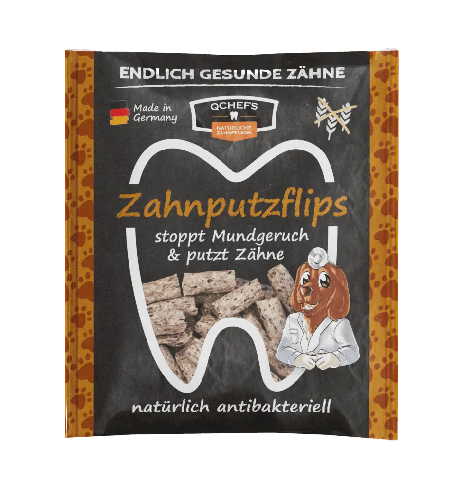 QChefs Zahnputzflips