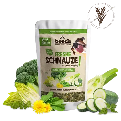 Freshe Schnauze knackig grünes Ackergemüse