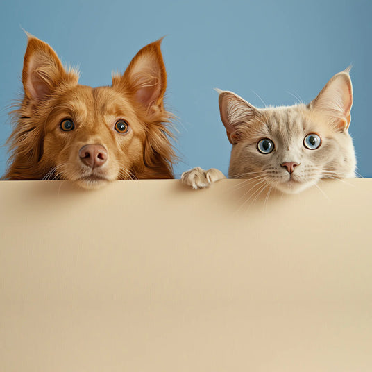 futterwolke-pdp-tierheim