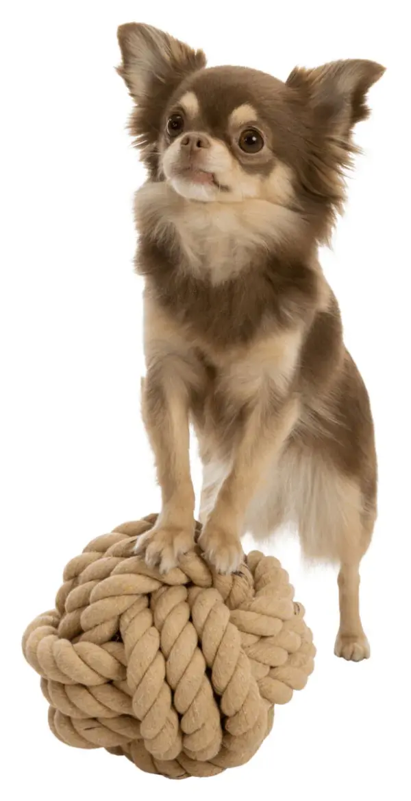 Trixie BE NORDIC Tau-Ball für Hunde – Bild 2
