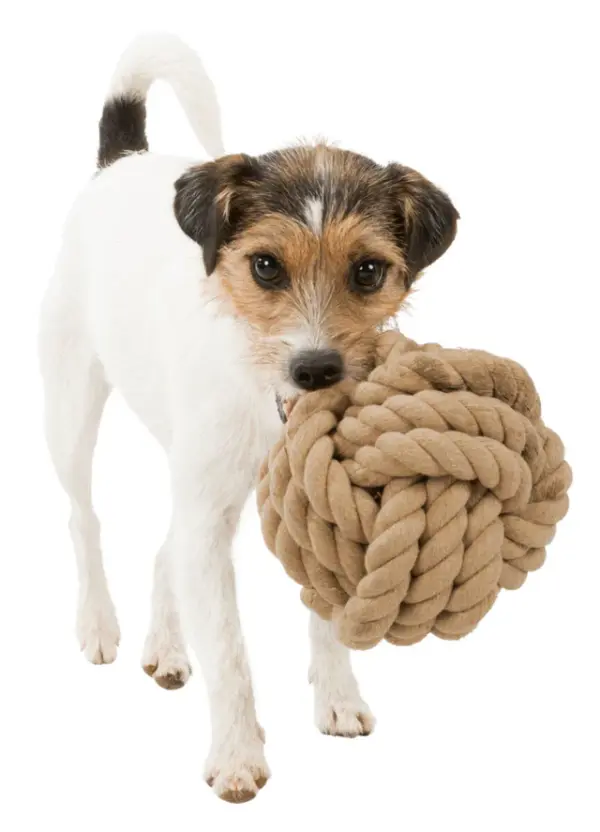 Trixie BE NORDIC Tau-Ball für Hunde – Bild 3